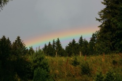 regenbogen004vs