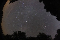 Orionid Meteor 20.10.2012