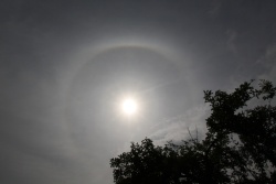 sonnenhalo019vs