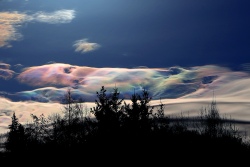 asperatus irisieren 20240203 vs