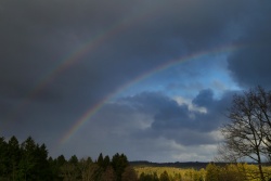 regenbogen 20220217 vs