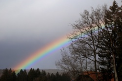 regenbogen 20230219 vs
