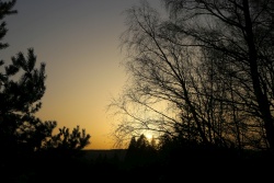 saharastaub sonnenuntergang 20210223 vs