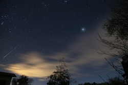 tauriden meteor 20231106 vs