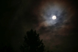 mondfinsternis 20231028 vs