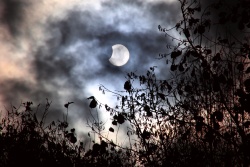 part sonnenfinsternis 20221025 vs