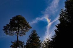 nebensonne 20201009 vs