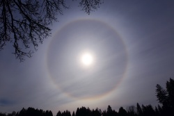 sonnenhalo 20220302 vs