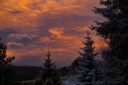 abendrot 20201204 vs