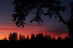 abendrot 20210923 vs