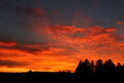 abendrot 20211109 vs
