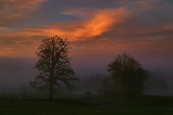 morgenrot 20221101 vs