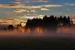 morgensonne 20211231 vs