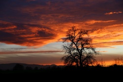 sonnenuntergang 20221114 vs