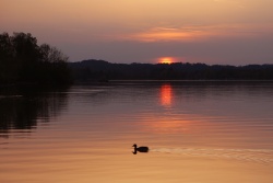 sonnenuntergang 20240411 vs