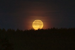 vollmond 20251105 vs