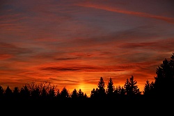 abendrot 15022020 vs