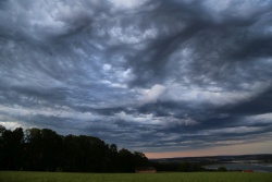 asperatus 20210706 c vs