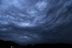 asperatus 20210724 vs