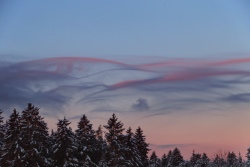 asperatus 20240109 vs