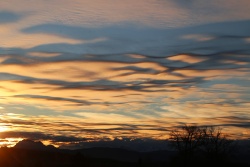 asperatus 20240203 vs