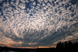 cirrocumulus 20220210 vs