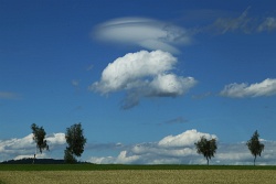 lenticularis 20200630 vs