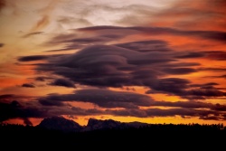 lenticularis 20210124 vs