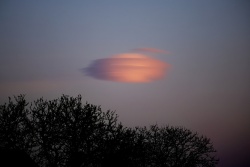 lenticularis 20220404 vs