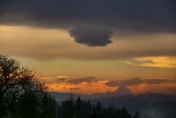 lenticularis 20221204 vs