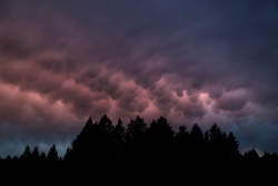 mammatus 20231116 vs