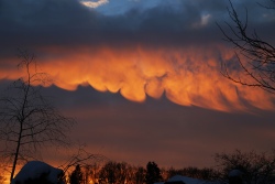 mammatus 20240116 vs