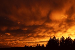 mammatus 20240323 vs
