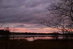 morgenrot grabensee vs