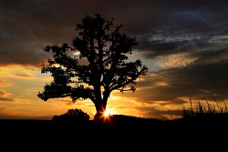sonnenuntergang 20200520 vs