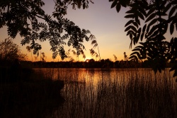 sonnenuntergang grabensee 20200425 vs