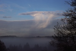 virga fallstreifen 20240216 vs