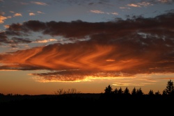 virga fallstreifen 20241127 vs