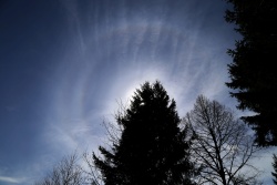 sonnenhalo-9-18-22-Grad-Ring-04-vs