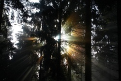 nebelstrahlen002vs