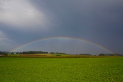 regenbogen001vs
