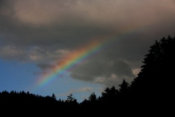 regenbogen005vs
