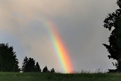 regenbogen010vs