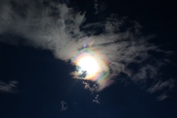 sonnenkranz005vs