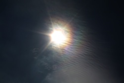 sonnenkranz006vs