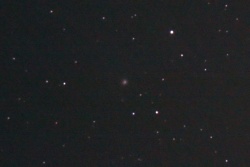 kometschwassmann002sv