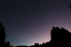 purpurlicht-02112015-vs