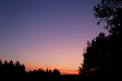 purpurlicht-08082019-vs