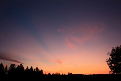 purpurlicht-20140817-vs
