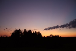 purpurlicht005vs